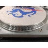 Synq x trm1 avec flight case + cellule