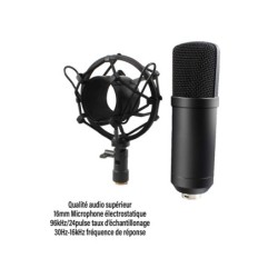 POWER STUDIO VIBE B1 BUNDLE XLR