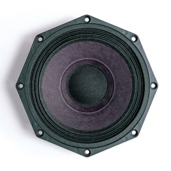 B&C SPEAKERS 8 PE 21