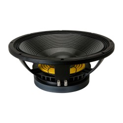 B&C SPEAKERS 18 TBX 100