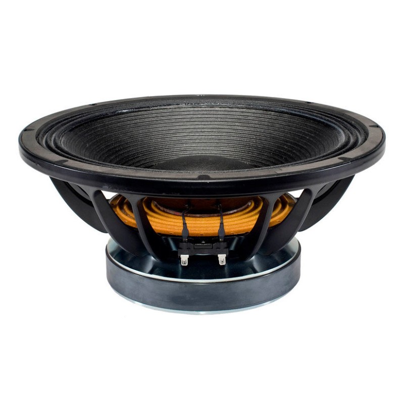 B&C SPEAKERS 15TBW100