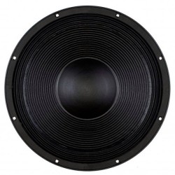 B&C SPEAKERS 15TBW100