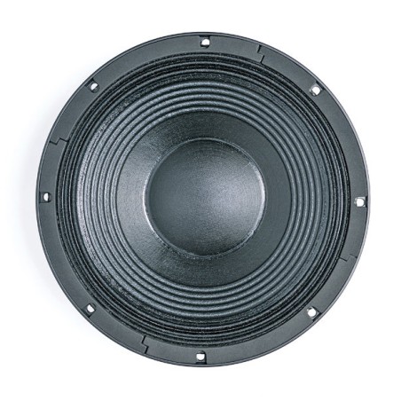 B&C SPEAKERS 12 NW 100