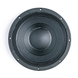 B&C SPEAKERS 12TBX100