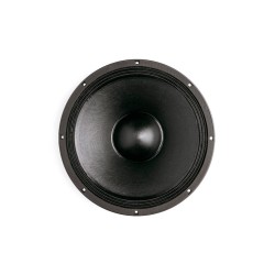 B&C SPEAKERS 15 PL 100